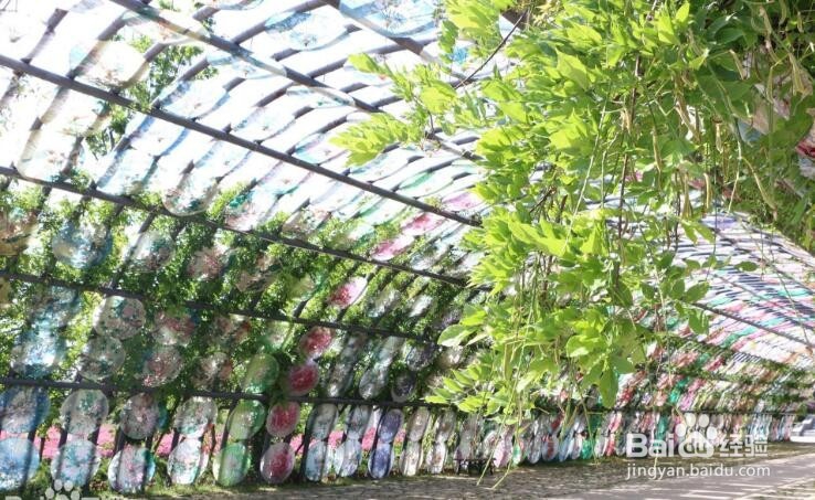 山里江南休闲度假区有哪些景观