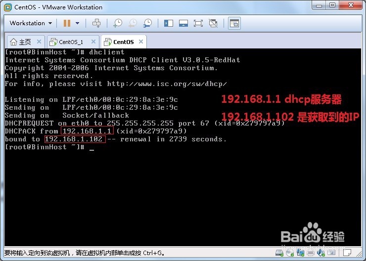 教你在linux怎么重获ip地址