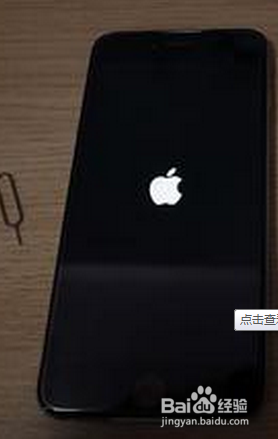 苹果7死机了怎么办