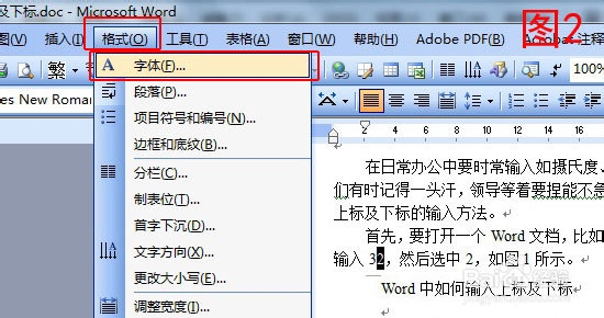 Word及WPS中如何输入上标及下标