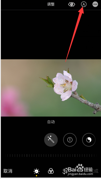 苹果手机怎么给照片添加箭头符号