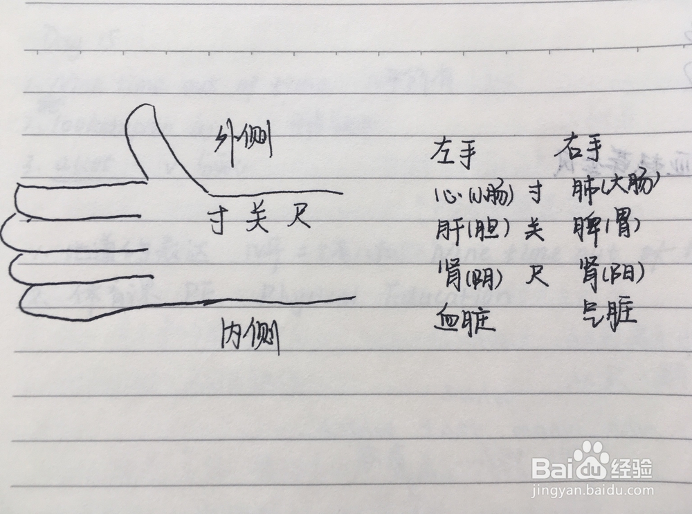 三生三世枕上书帝君把脉姿势与中医的差异?