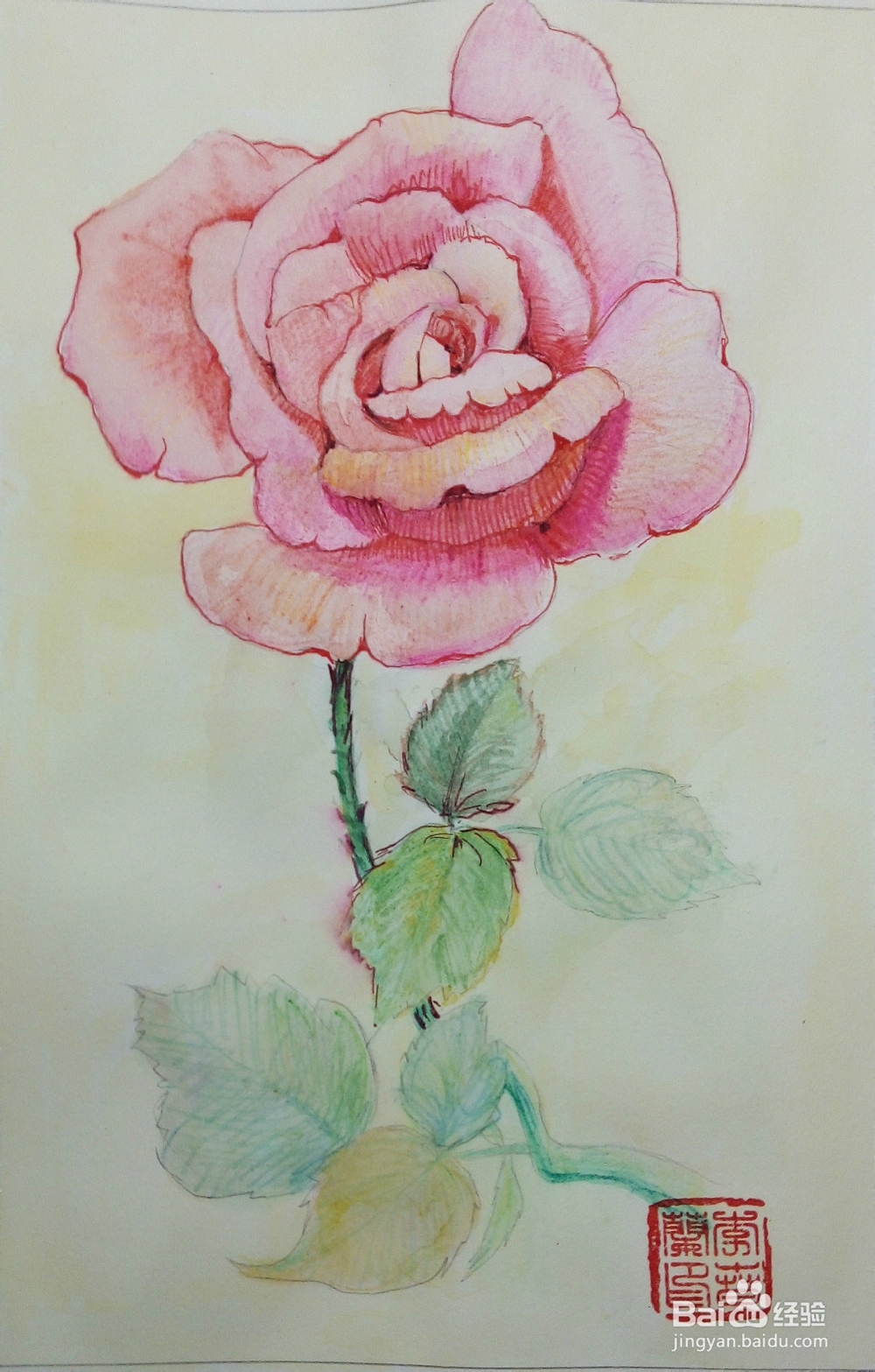 只能为你画一张小小的卡片——《一枝玫瑰》