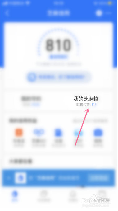 支付宝如何领取信用芝麻粒