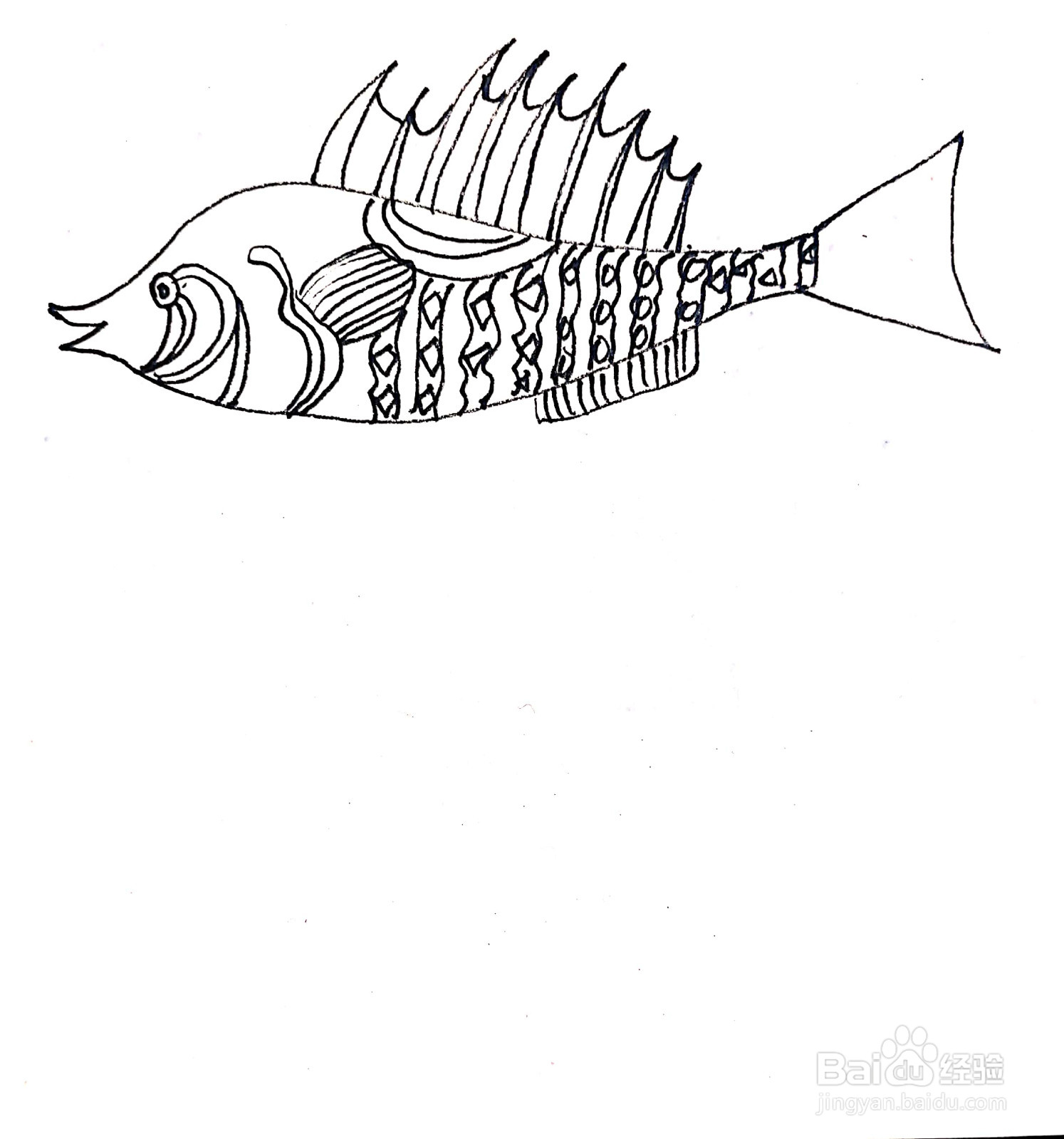 鲢鱼线描画怎么画