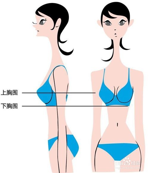 如何挑选合适的文胸（1）