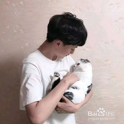 柏拉图式爱情的意义是什么