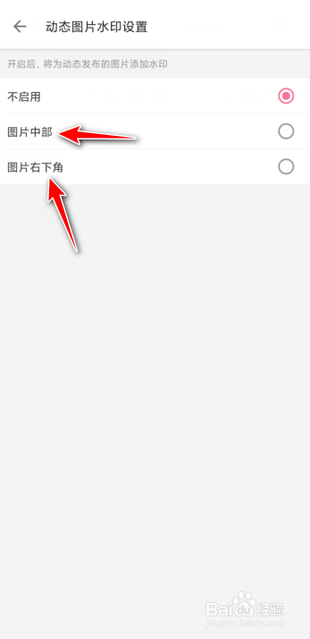 哔哩哔哩怎么开启动态图片水印？