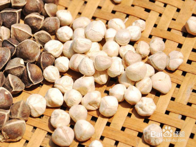 关于辣木籽的功效和作用是什么？