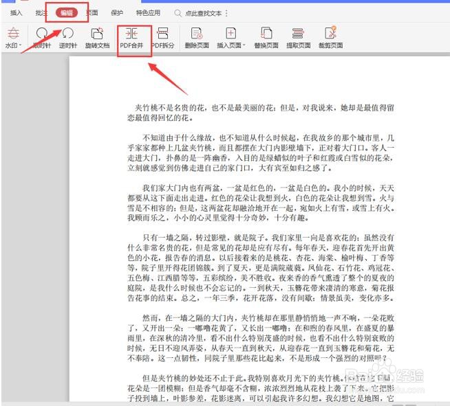 WPS使用技巧之如何批量打印PDF文件