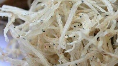 银鱼养殖成本 养银鱼要投资多少钱