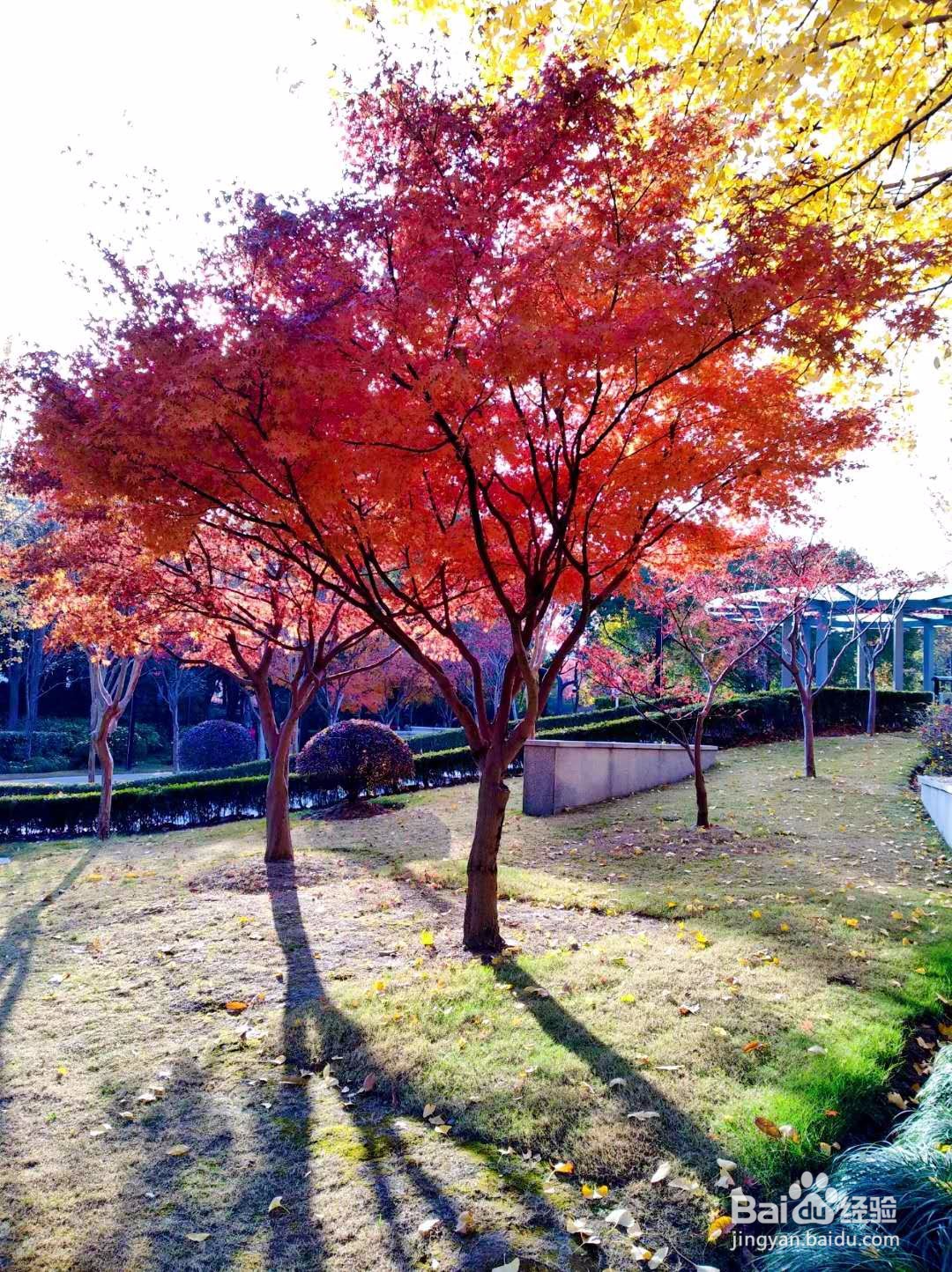 如何美化照片的颜色