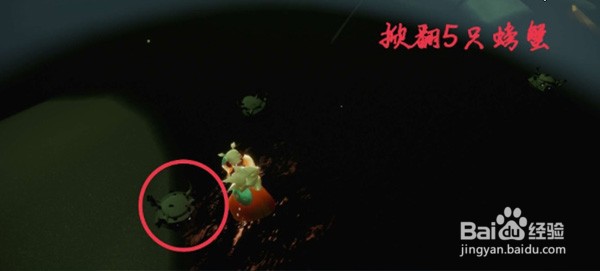 光遇12月15日每日任务怎么做？