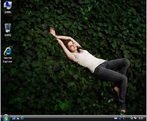 金狐Windows Vista SP2 Lite V4八合一珍藏版