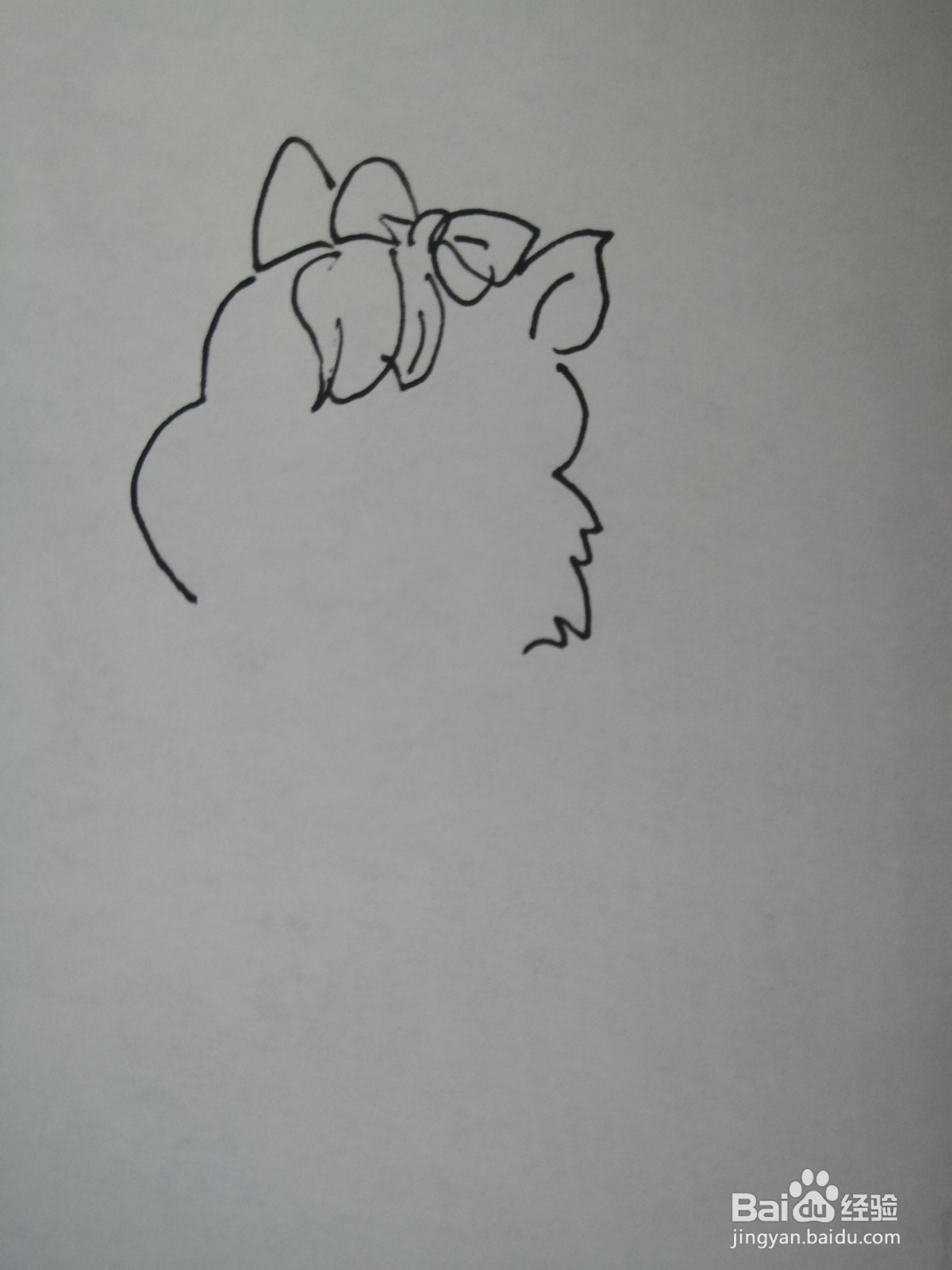 可爱的小松鼠怎么画