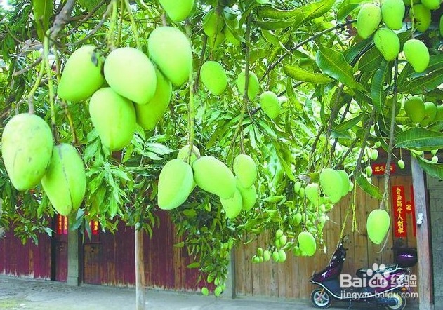 台风过境城市时街道行人交通安全注意事项