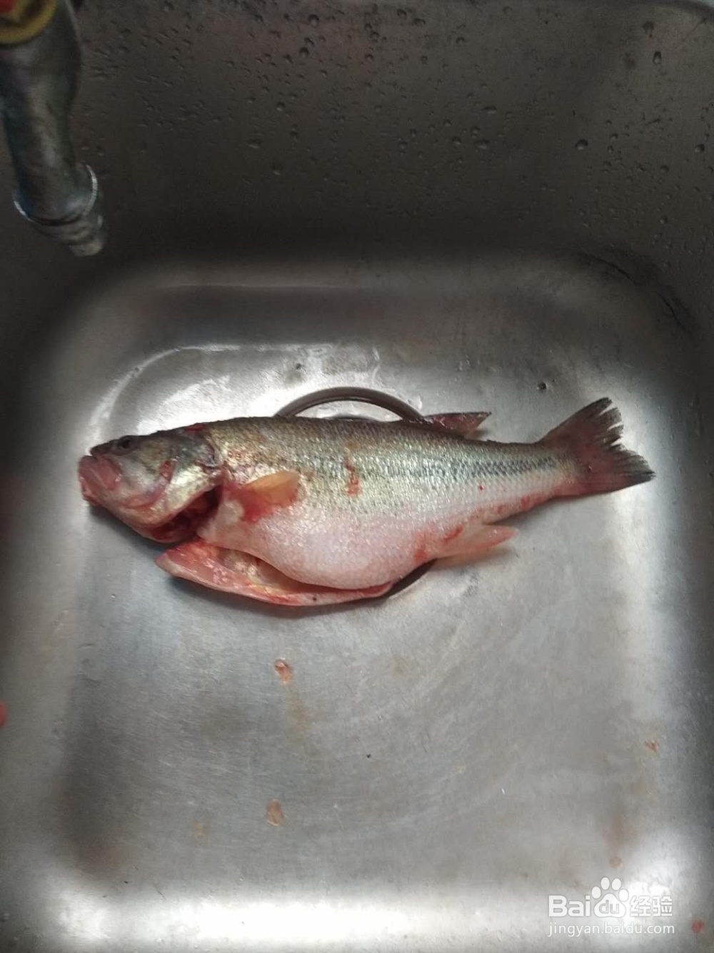 清蒸大鲈鱼家常做法