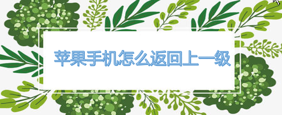 <b>苹果手机怎么返回上一级</b>