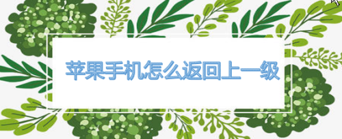 苹果手机怎么返回上一级