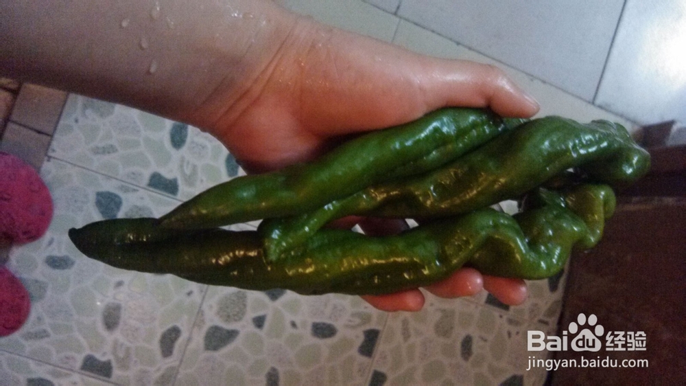 两个人的小日子：[14]青椒炒香煎草鱼