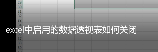 <b>excel中启用的数据透视表如何关闭</b>