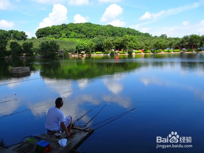钓鱼的好处有哪些?