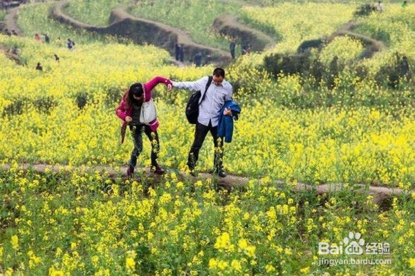 如何更好的度过自己的三十岁