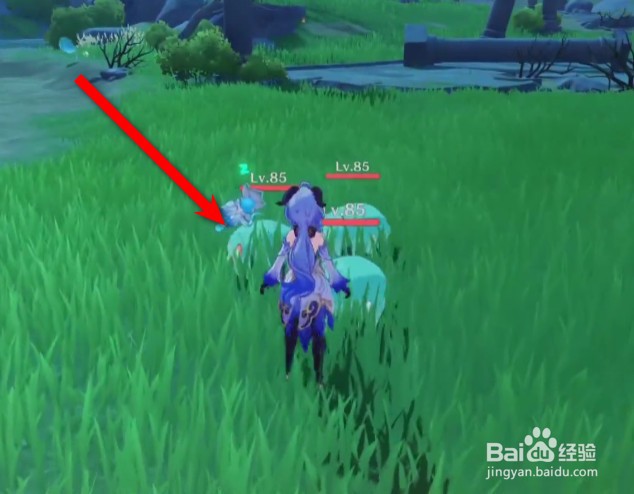 原神风龙废墟任务通关攻略