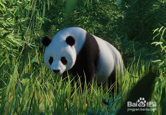 《动物园之星》理财游戏