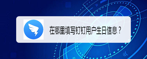 在哪里填写钉钉用户生日信息