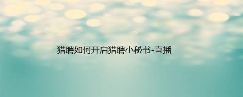 猎聘如何开启猎聘小秘书