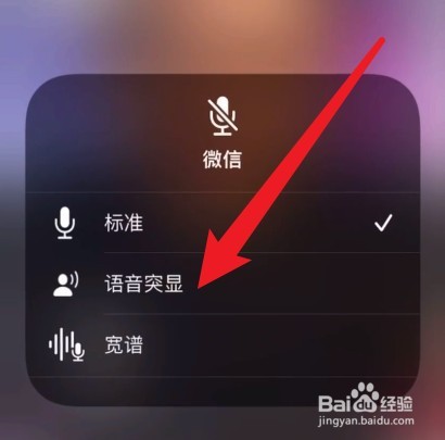 iphone话筒说话没声音