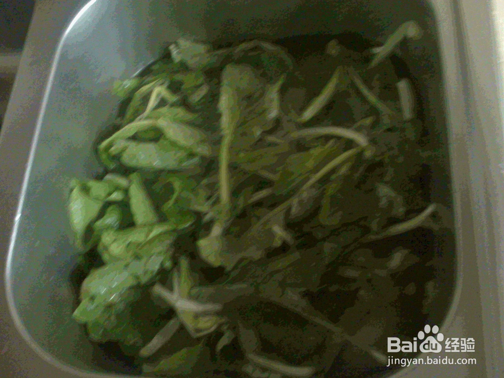 #美食#老年人怎样用淘米水泡洗小萝卜菜