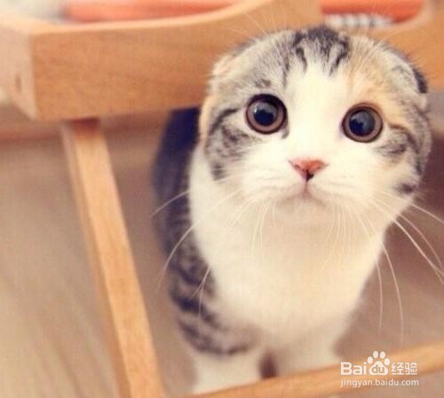 两岁孩子哭闹怎么教育