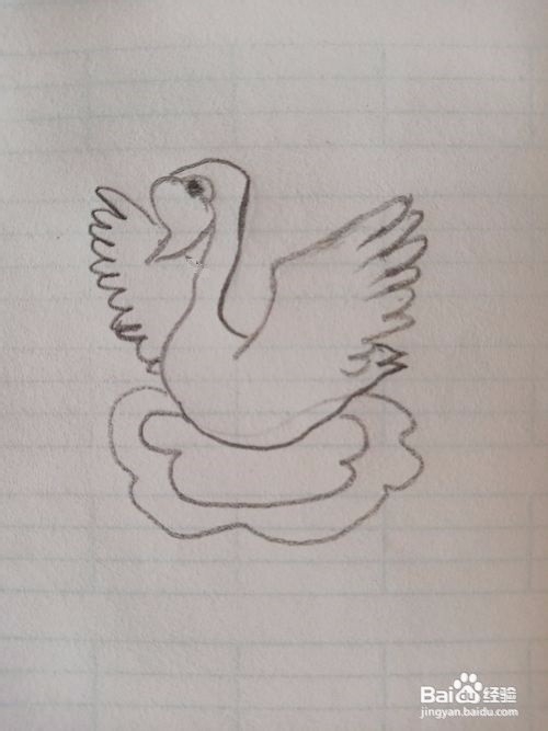 天鹅的简笔画