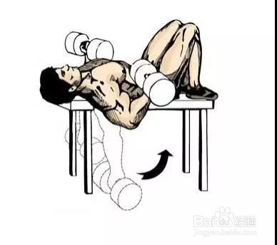 只需一对哑铃,在家锻炼全身肌肉!