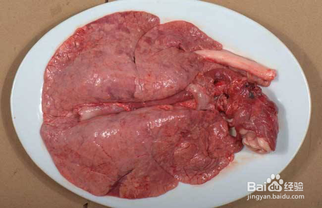 猪心、猪肝、猪肠、猪肚、猪肾、猪肺的鉴别？