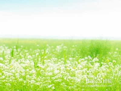 如何让自己变得优秀