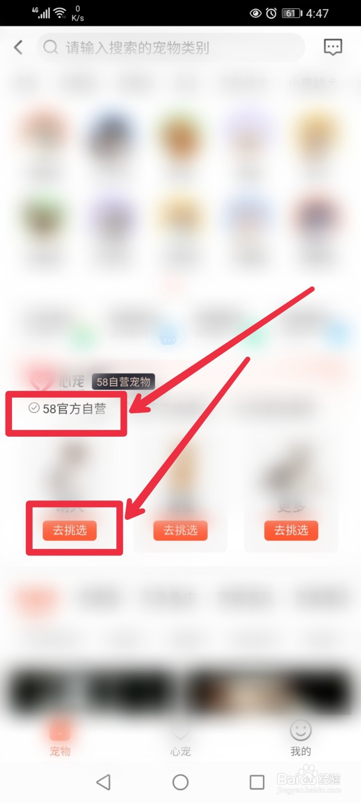 怎么在58同城快速找到自营宠物