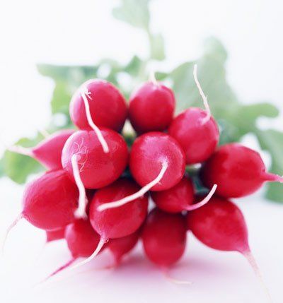 怎样拥有理想乳房？