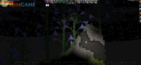 星界边境-入门指南及系统教程：[3]食物和篝火