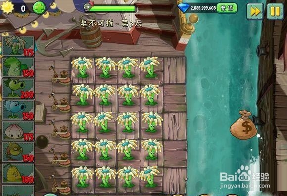 安卓植物大战僵尸2海盗湾高效率刷钱阵法详解