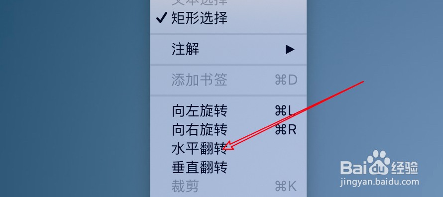 mac电脑怎么水平翻转图片