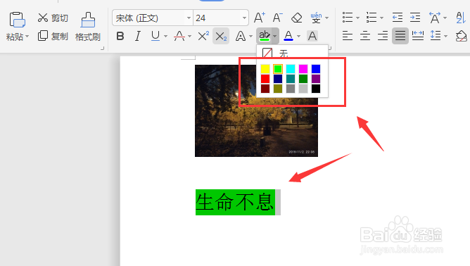 WPS文字文档中如何给文字添加底色