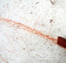 如何鉴别小叶紫檀?小叶紫檀鉴别图片