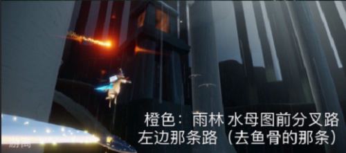 《光遇》11.5每日任务攻略