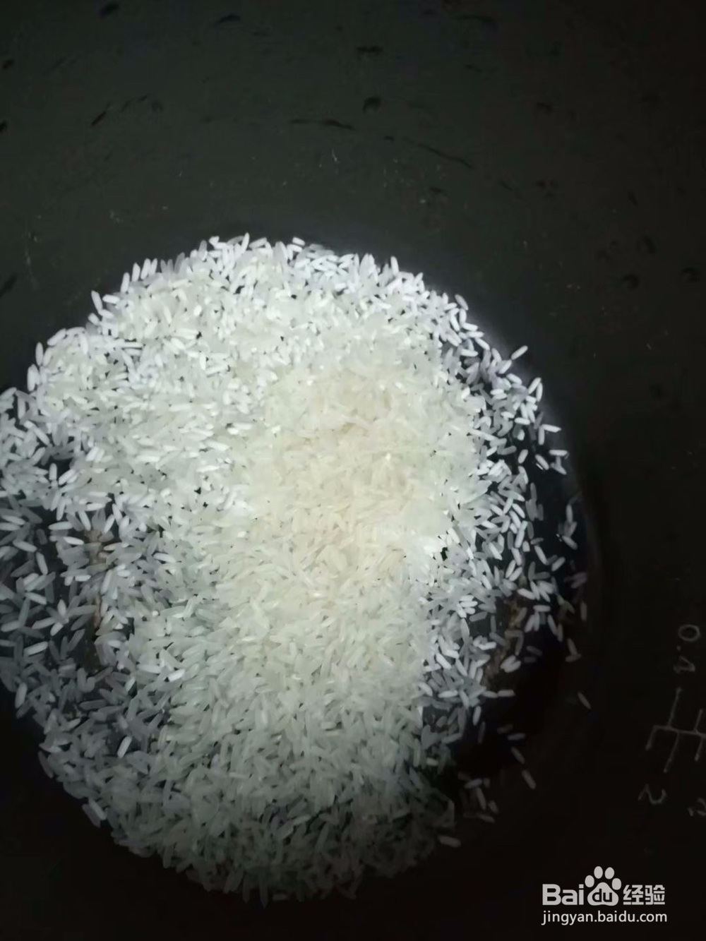 白鸽粥怎么煮才好吃