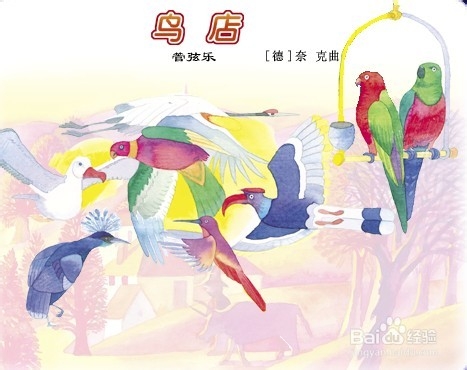 创业实战分析鸟类销售店