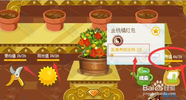 近期会员反映 QQ空间花藤养成过程中枯萎的原因