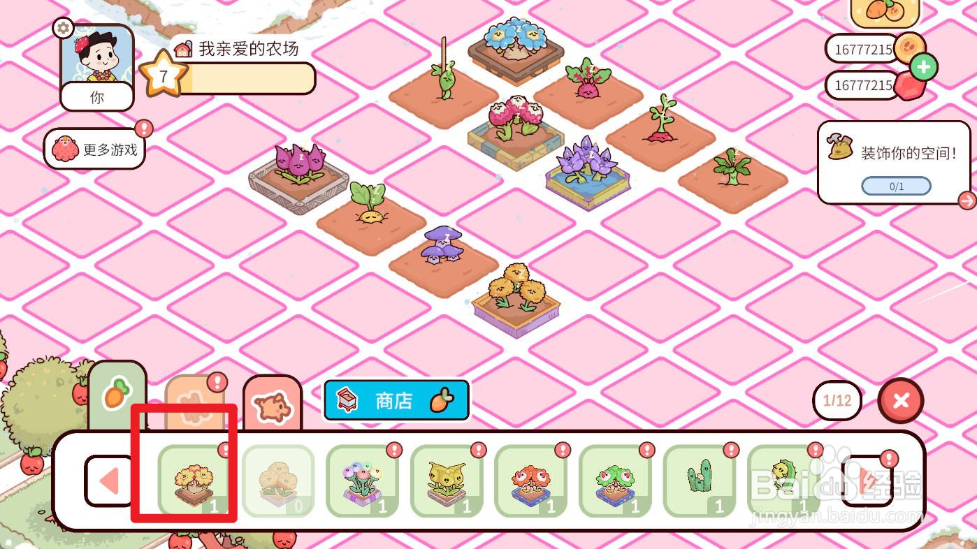我亲爱的农场如何种植黄色金盏花